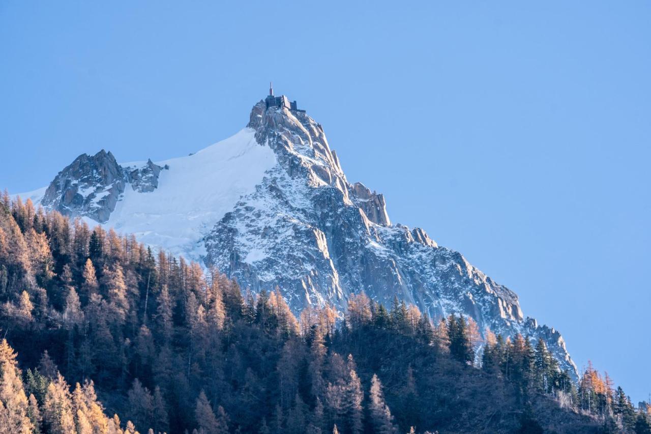 Chamonix Sud Studio With Mont Blanc Views Esterno foto