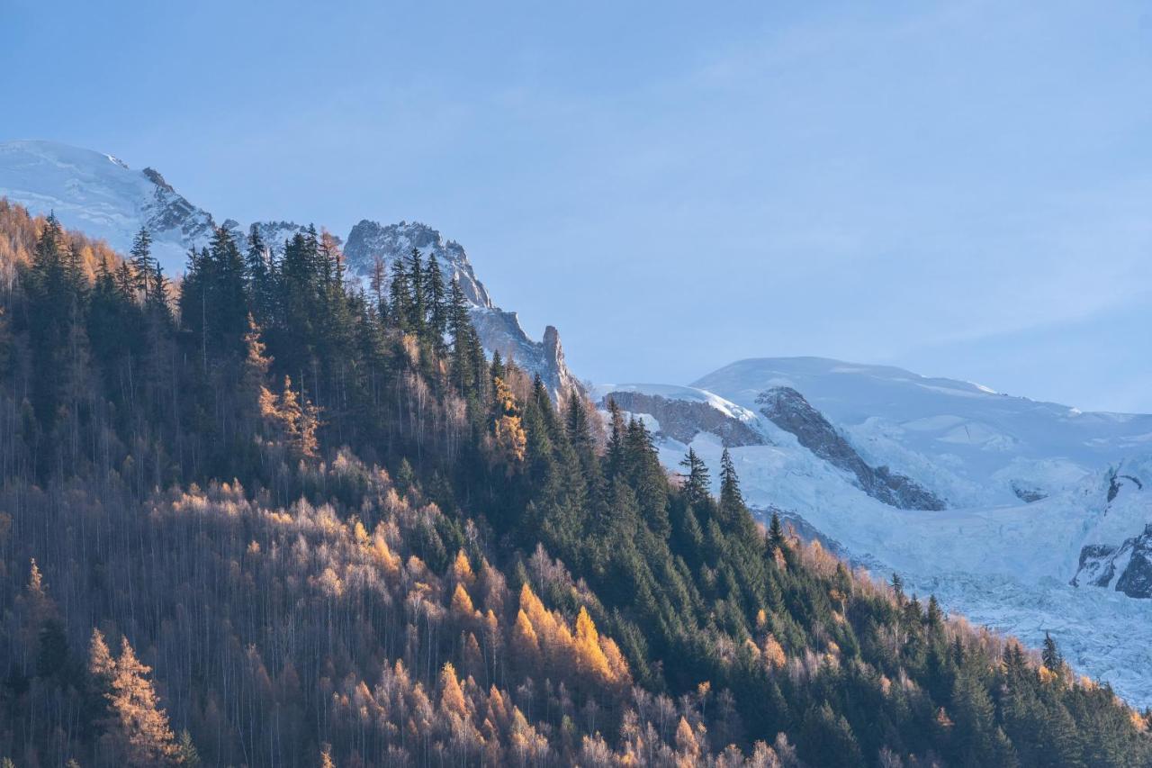 Chamonix Sud Studio With Mont Blanc Views Esterno foto